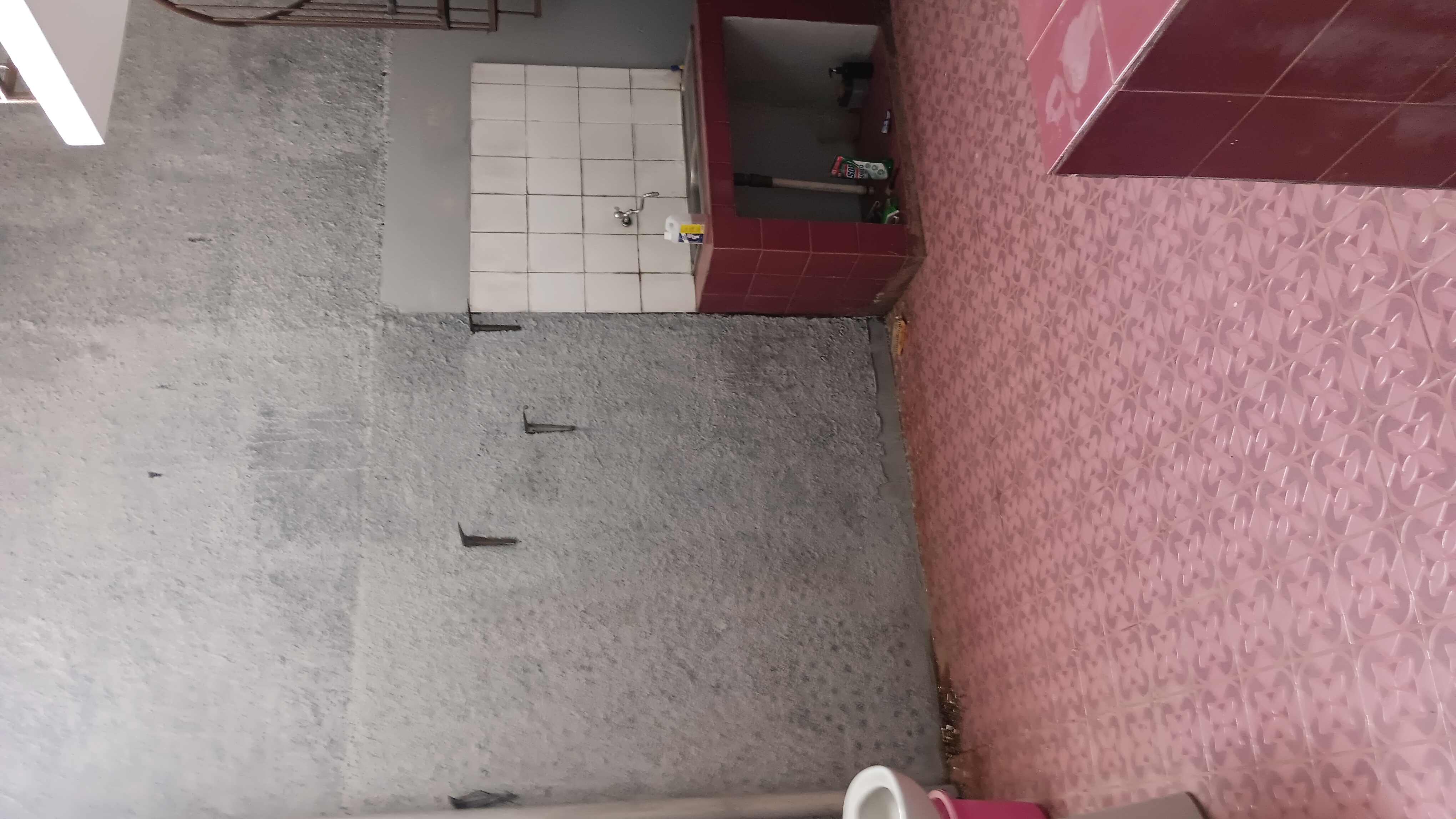 Back yard area with sink
